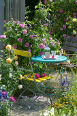 Small Sitting Area Next To Rose 'gertrude Jekyll'