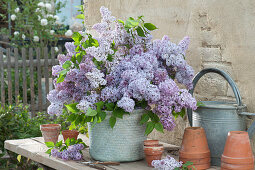 Violet Lilac Bouquet In Wicker Basket