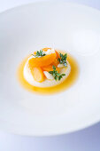 Blancmanger with apricots and fresh almonds