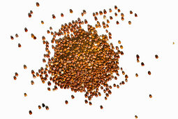 A heap of red quinoa on a white background
