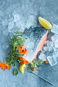 Raw salmon with fresh herbs on ice