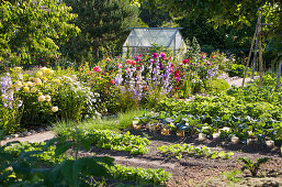 Gemüsegarten mit Blumenbeet und Gewächshaus