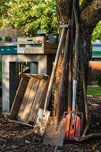 Garden Tools Leaning Against Tree Trunk And Wooden Boxes
