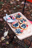 Blaubeer-Feigen-Törtchen mit Vanillepudding auf Holzbrett im herbstlichen Garten