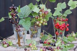 Gooseberries and red and blackcurrants in glasses