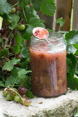 Gooseberry jam in a jar with a spoon