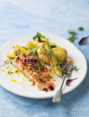 Salmon fillets with cranberry and almond crust