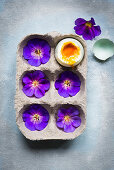 Violette Blüten und ein aufgeschlagenes weichgekochtes Ei in Eierkarton (Aufsicht)