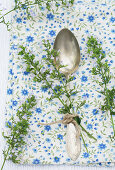 Sprigs of calamint tied to vintage spoon
