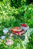 Erdbeer-Rhabarber-Pie auf Kiste im sommerlichen Garten