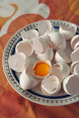 A broken egg and egg shells