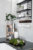 Crockery on shelves and pendant lamp above black worksurface