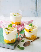 Mango and granadilla frozen yoghurt