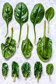 Spinach leaves of different shapes and sizes on a concrete background