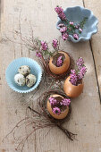 Ausgepustete Eier als kleine Blumenvasen mit lila Heideblüten zu Ostern