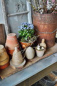 Rural Easter Decoration With Forget-Me-Not