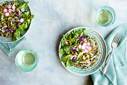 Salat mit grünen Linsen, Radieschen und Rotkohl (Aufsicht)