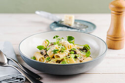 Pasta with mushrooms, creamy sauce and Parmesan cheese