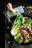 Roasted duck breast with soba noodles, vegetables, cilantro and peanuts in a cast-iron pan