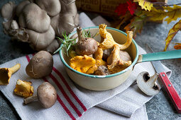 Various fresh wild mushrooms in a ceramic bowl