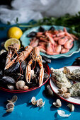 Various crustaceans and clams