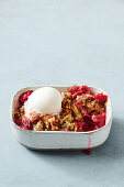 Rhubarb and ginger crumble with ice-cream
