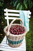 Cherries in a basket on a garden chair