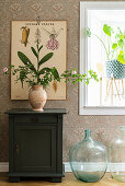 Rose on top an cabinet below botanical illustration