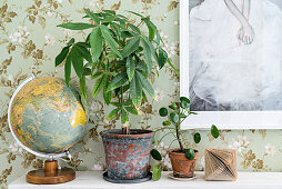 Zimmerpflanzen, Globus und Papierdeko vor floral gemusterter Tapete