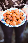 Small peaches in a bowl