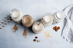 Bottles of vegan milk alternatives: buckwheat-rice drink, barley-rice drink, hazelnut-rice drink, quinoa-rice drink, almond milk