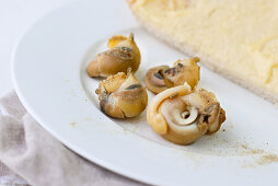 Snails with white bread