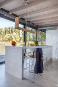 Modernes Hausboot: Küchentheke unter Holzdecke vor Glasfront
