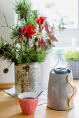 Christmas arrangement of dwarf pine, larch, red amaryllis and eucalyptus