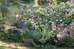 Autumnal bed with stonecrop, autumn anemone and mealy sage