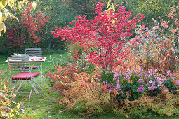 Sitzplatz am Herbstbeet mit Spindelstrauch und Herbstanemone 'Rosenschale'
