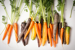 Carrots and purple carrots with green tops