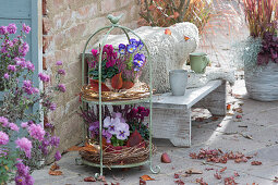 Terrace with autumnal decorated cake stand
