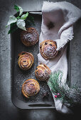 Fresh herbs and piece of cloth lying on tray with yummy cinnamon rolls on gray surface
