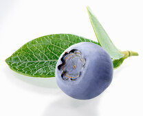 A blueberry with leaves