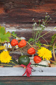 Ornamental squash used as vases for autumnal flowers