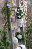 Wooden ladder decorated for Christmas with white spruce and woolen balls