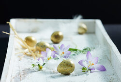 Golden eggs, snowdrops and crocuses on white tray