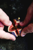 Opening Fig