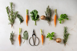 Fresh herbs, small carrots and mushrooms on a marble background