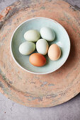 Various coloured eggs