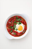 Shakshuka (Pochiertes Ei in scharferTomatensauce, Israel)