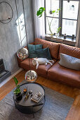 White cat on brown leather sofa in living room in muted shades