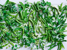 Various green legumes