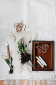 Snowdrops with root ball next to candles on wooden tray